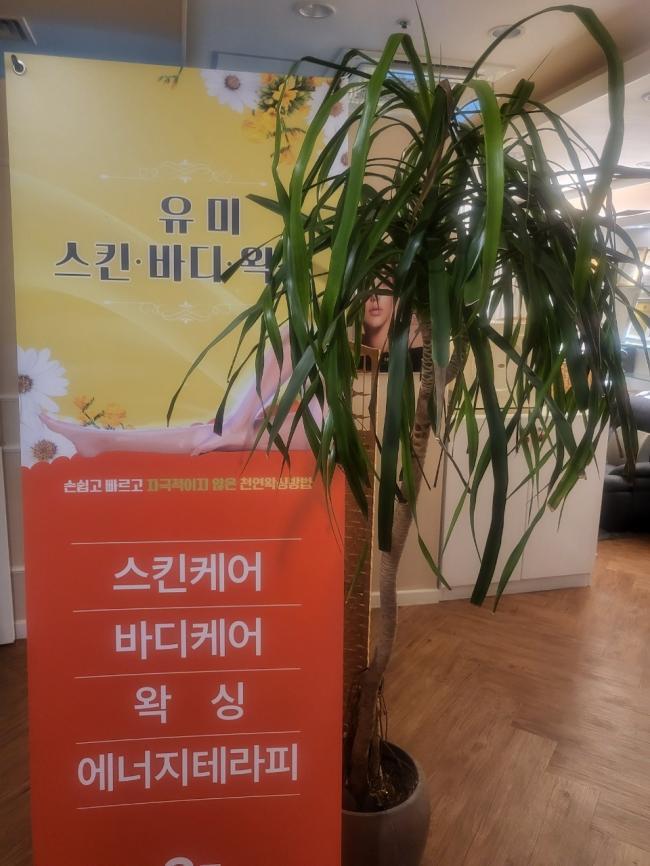 유미왁싱앤테라피 내부사진 1
