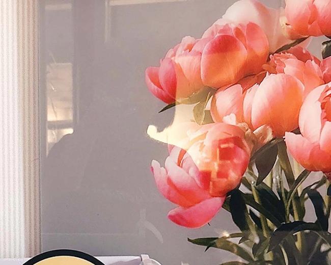 남양읍 1인샵 젤리테라피 내부사진 3