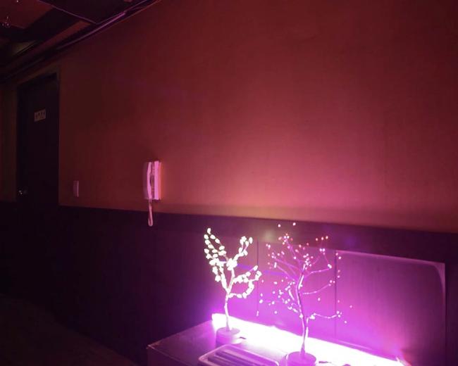 삼산동 나비테라피(울산) 내부사진 7