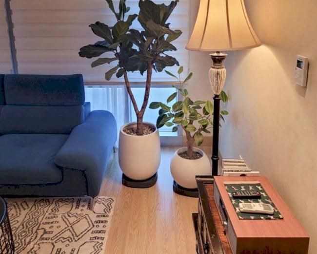 우동 센텀 정통아로마 내부사진 3