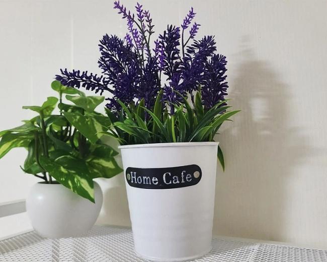 본리동 골드 룸타이마사지 내부사진 5