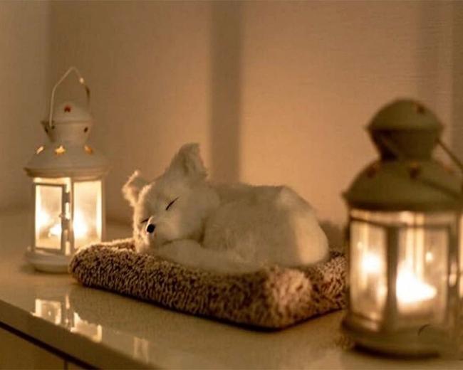 구갈동 1인샵 슈의 러블리테라피 내부사진 2