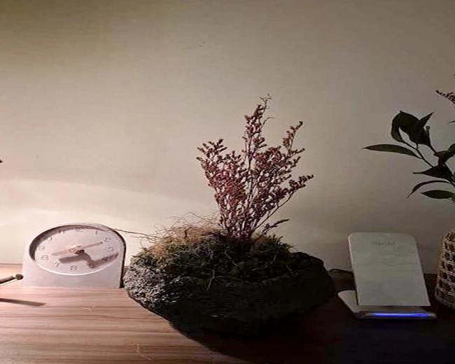 민락동 여성전용 오션드블루(부산) 내부사진 6