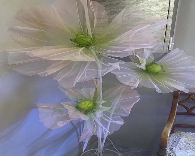 영통동 홍콩마사지 내부사진 4