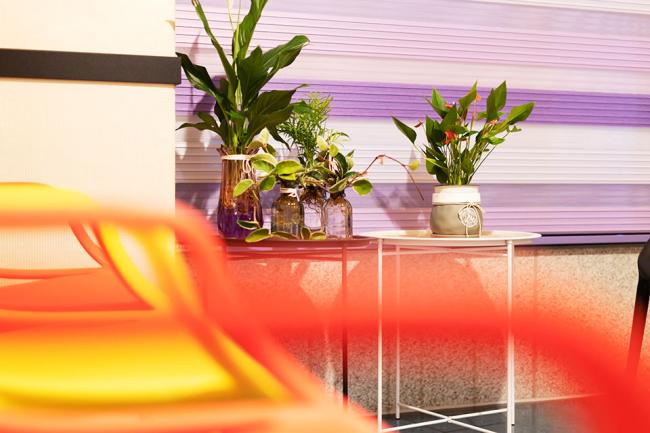 진량 미송타이테라피 내부사진 17